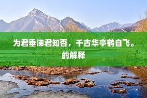 落花风里数声笛，芳草烟中无限人。的意思及出处