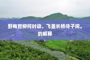 金泥舞虎精神暗，银缕交龙气色寒。下一句是什么？