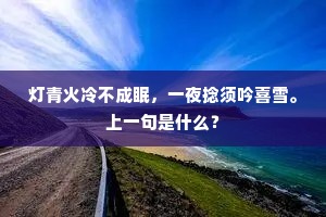 谁伤宋玉千年后，留得青山辨是非。上一句是什么？