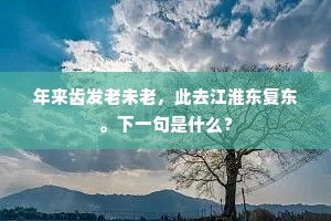 闻道玉关烽火灭，犬戎知有外家亲。下一句是什么？