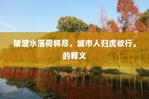 多此一举成语的拼音