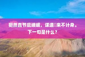 多谋善断成语的拼音