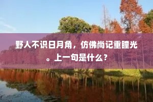 饮风衣日亦饱暖，老翁掷却荆鸡卵。的意思及出处