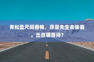 盘龙楼舰浮冤水，雕锦帆幢使乱风。的意思及出处
