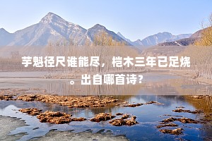 汉家代久淳风薄，帝重微行极荒乐。的解释