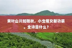 额手称颂成语的解释