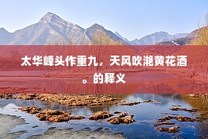 恶积祸盈成语的解释