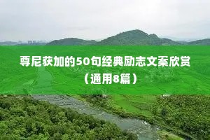 治愈情感的精彩语录（精选8篇）