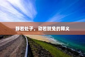 静若处子，动若脱兔的释义