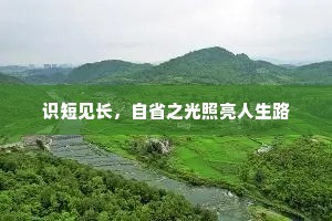识短见长，自省之光照亮人生路