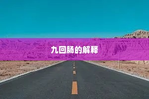 九回肠的解释