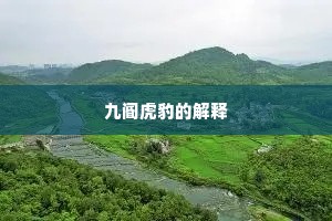 九阍虎豹的解释