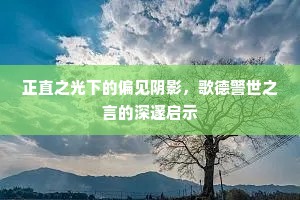 正直之光下的偏见阴影，歌德警世之言的深邃启示