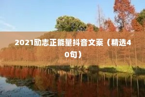 情感语录治愈文案大全短句（精选40句）