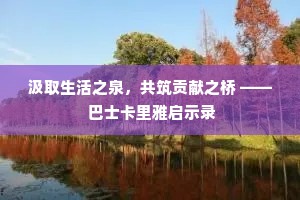汲取生活之泉，共筑贡献之桥 —— 巴士卡里雅启示录