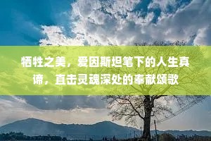 牺牲之美，爱因斯坦笔下的人生真谛，直击灵魂深处的奉献颂歌