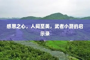 感恩之心，人间至美，武者小路的启示录
