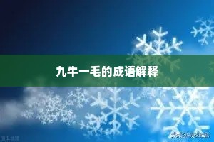 九牛一毛的成语解释
