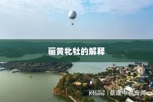 骊黄牝牡的解释