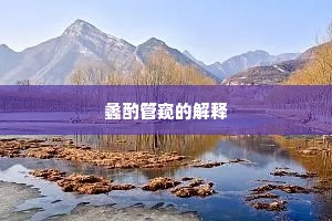 蠡酌管窥的解释