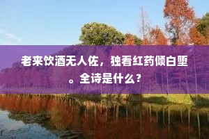 衣湿乍惊沾雾露，马行仍未见尘埃。全诗是什么？