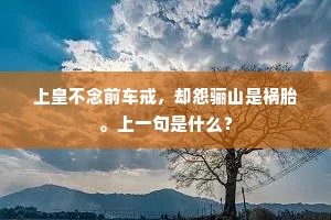 反眼不识成语的释义