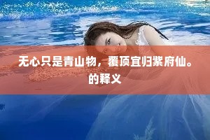 返视内照成语的解释