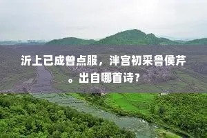 松竹渐荒池上色，琴书徒立世间名。的释义