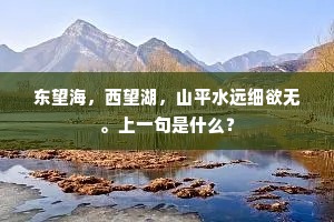 寂寥金屏空自掩，青荧银烛不生光。的意思及出处