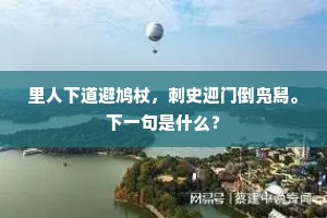 白日欲沈犹未沈，片月已来天半垂。的意思及出处