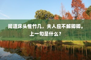 九野干戈指著心，威福满拳犹未快。的释义