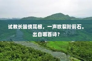 任说天长海影沈，友朋情比未为深。的释义