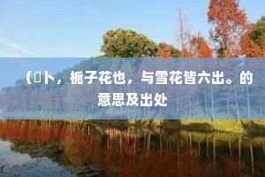 六代风光无问处，九条烟水但凝愁。的释义
