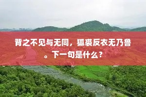 闲吟闲坐道相应，远想南华亦自矜。全诗是什么？