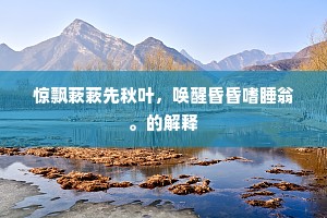 西眉南脸人中美，或者皆闻无所利。上一句是什么？