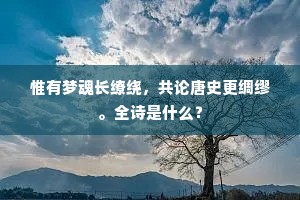 长安近甸巡游遍，洛阳寻有黄龙见。下一句是什么？