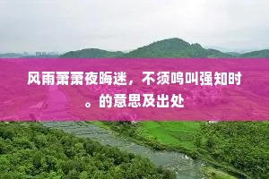 放龙入海成语的解释