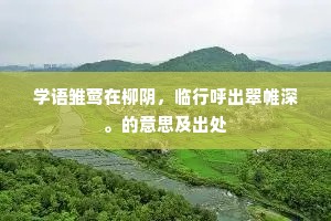 放心托胆成语的释义