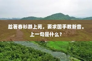 放言遣辞成语的拼音