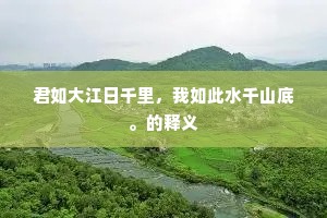 放纵不拘成语的解释