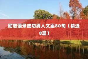 治愈抚慰情感语录（通用40句）