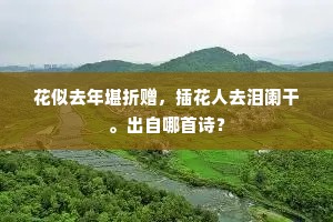 漏残雨急风萧萧，患乱忠臣欺宝刀。的解释