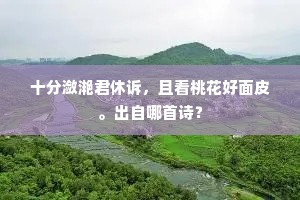 分星劈两成语的解释