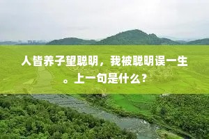 劝君休，莫容易，世俗由来稀则贵。的释义