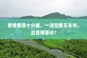 不得团圆长近君，珪月鈋时泣秋扇。全诗是什么？