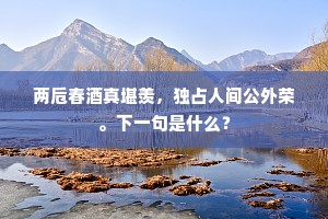 后人好事传其曲，有时声足意不足。的意思及出处