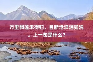 无多别业供王税，大半生涯在钓船。出自哪首诗？