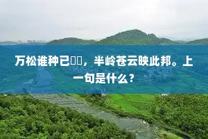 焚尸扬灰成语的拼音