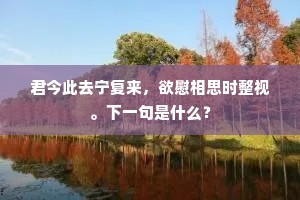 正是低摧吾道日，不堪惆怅异乡时。的意思及出处