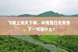西望长安路几千，迟回不为别家难。上一句是什么？